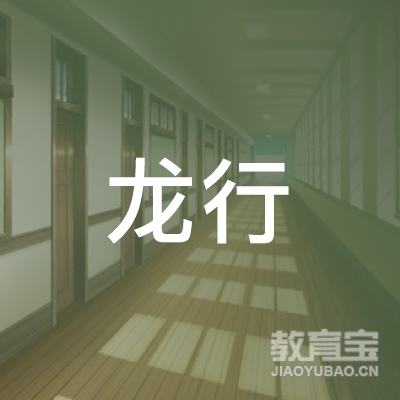 龙岩龙行乒乓球培训logo