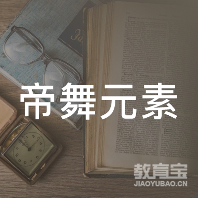 中卫帝舞元素舞蹈培训logo
