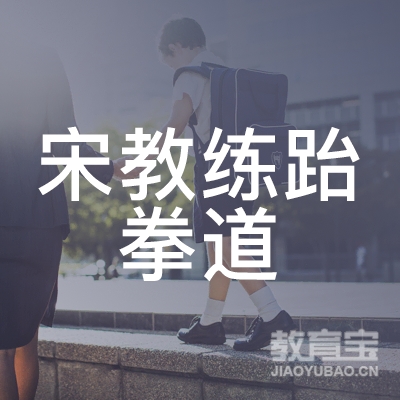 嘉兴宋教练跆拳道培训logo