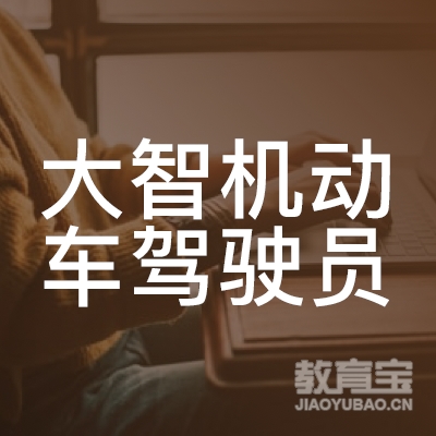 菏泽大智驾校logo