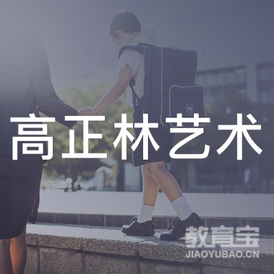 淮安高正林艺术培训