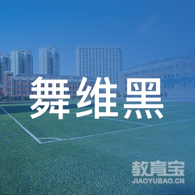 枣庄舞维空间舞蹈培训logo