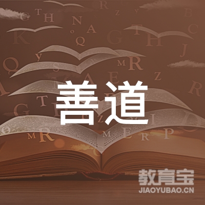 善道智教（山东）教育logo