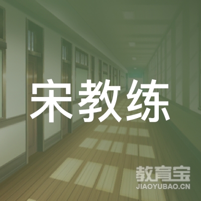 株洲宋教练武术培训