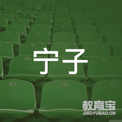 驻马店宁子舞蹈培训logo