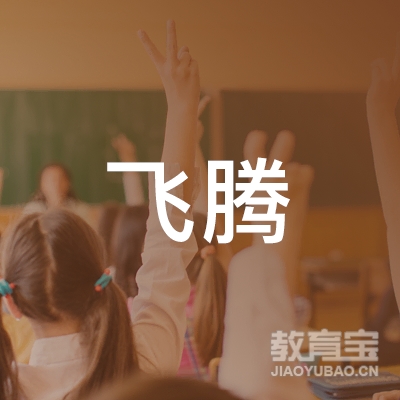 重庆飞腾体育logo