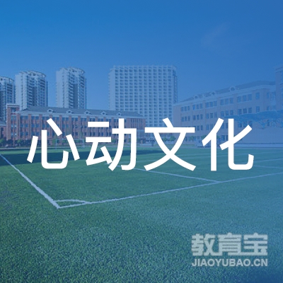 重庆心动文化培训logo