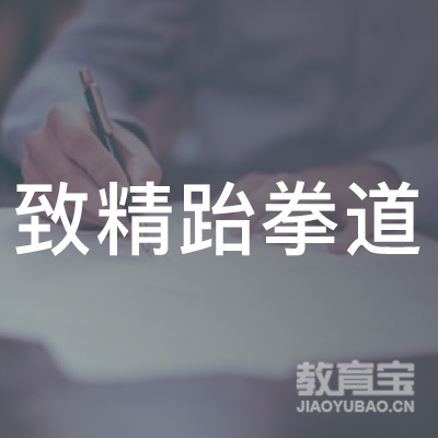 重庆致精跆拳道培训logo