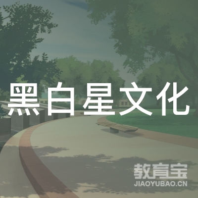 广州黑白星文化培训logo