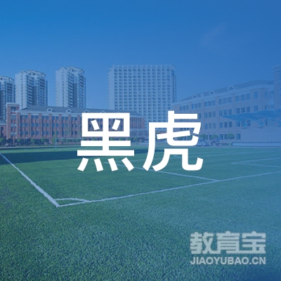 怀化黑虎少儿培训logo