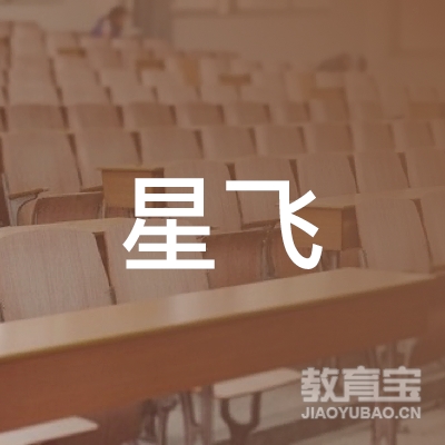 淮安星飞艺术培训