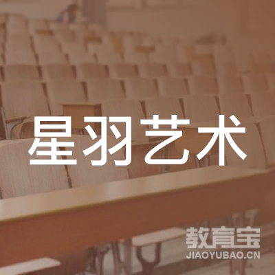 惠州星羽艺术培训logo
