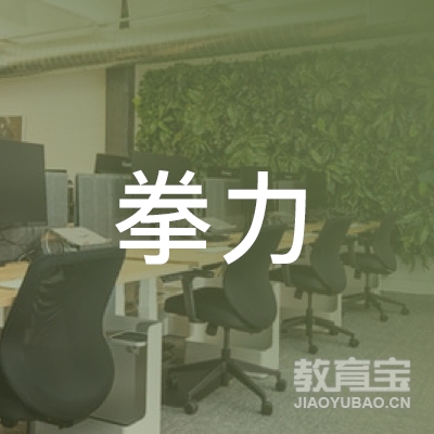 济南拳力格斗培训logo