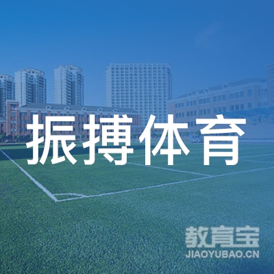 娄底振搏体育培训logo