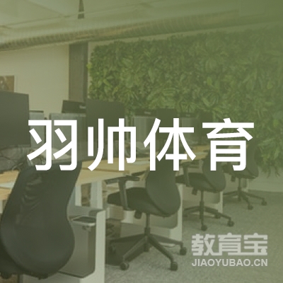 梅州羽帅体育培训logo