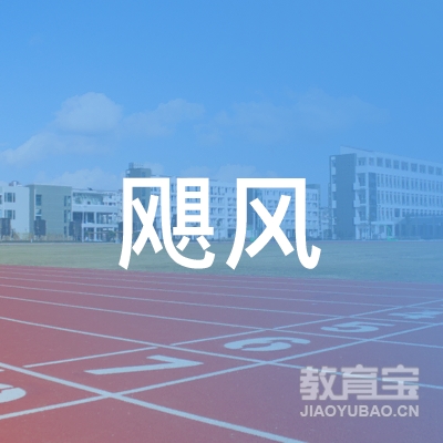 南阳飓风教育logo