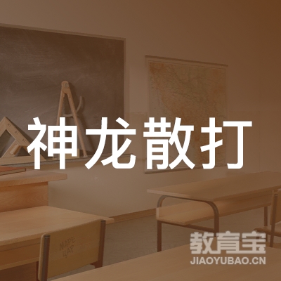 南宁神龙散打搏击培训logo