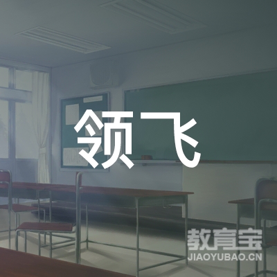 宁波领飞教育logo