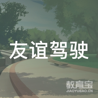 宁波友谊驾驶培训logo