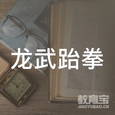 宁波高新区新明龙武跆拳道馆logo
