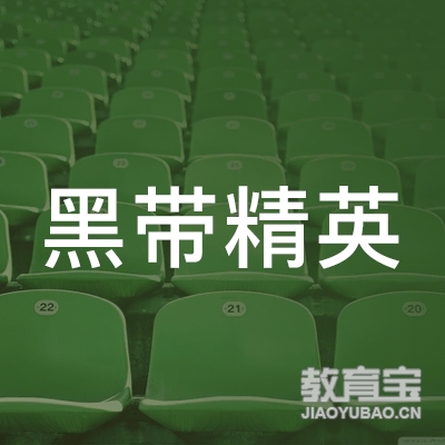 清远市清城区黑带精英跆拳道logo