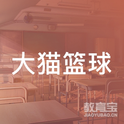 青岛大猫篮球培训logo