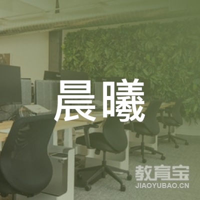 深圳晨曦教育logo