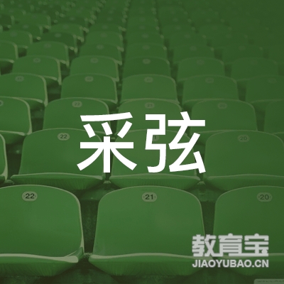 泰安采弦乐器培训logo