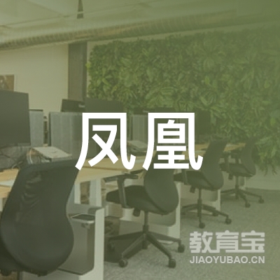 泰安市泰山区凤凰之星艺术校logo
