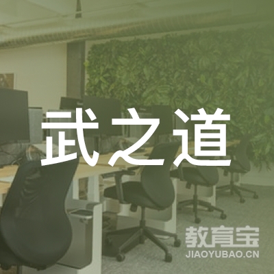 渭南市临渭区武之道搏击logo