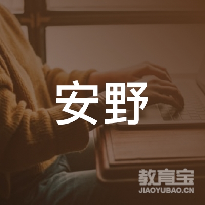 铜陵安野体育培训logo