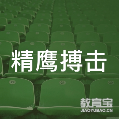 潍坊精鹰搏击培训logo