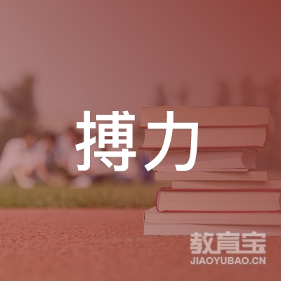 吴忠搏力跆拳道培训logo