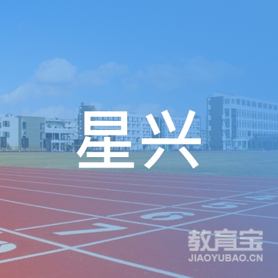 武汉星兴驾校logo