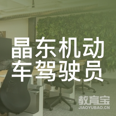 武汉晶东驾校logo