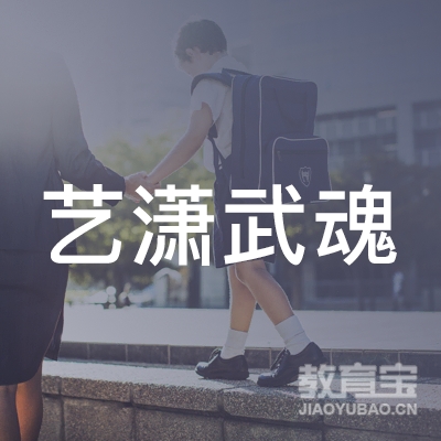 西安艺潇武魂武术培训