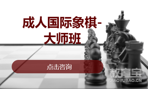 成人国际象棋-大师班