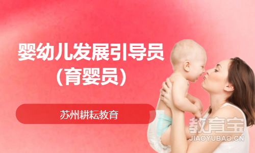 婴幼儿发展引导员（育婴员）