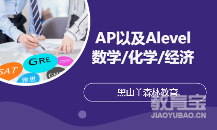 AP以及Alevel数学/化学/经济