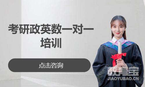 考研政英数一对一培训
