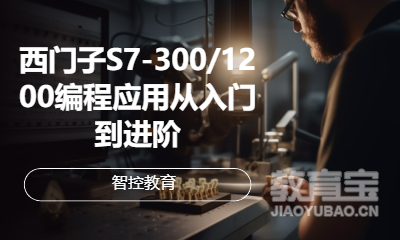西门子S7-300/1200从入门到进阶