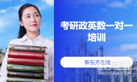 考研政英数一对一培训