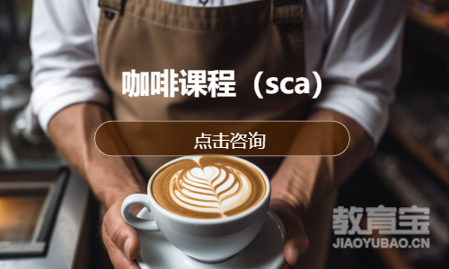 咖啡课程（sca）