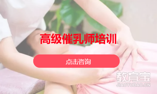 高级催乳师培训