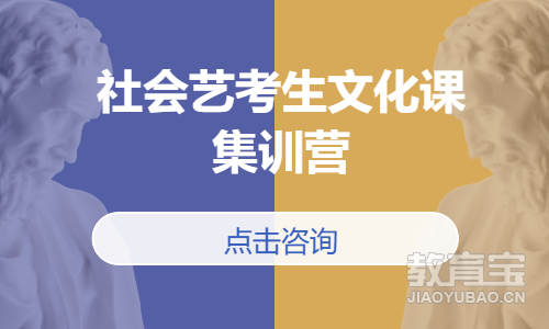 社会艺考生文化课集训营