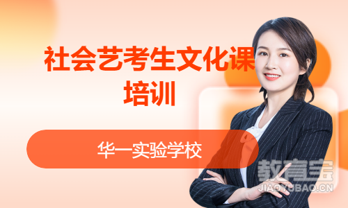 社会艺考生文化课培训