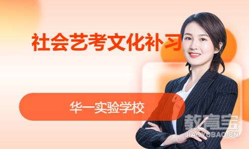 社会艺考文化补习