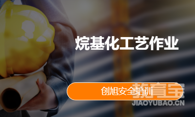 烷基化工艺作业