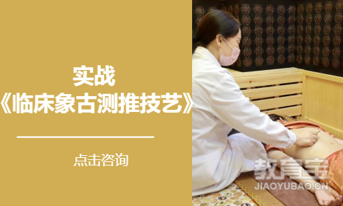 实战 《临床象古测推技艺》
