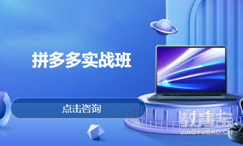 拼多多实战班